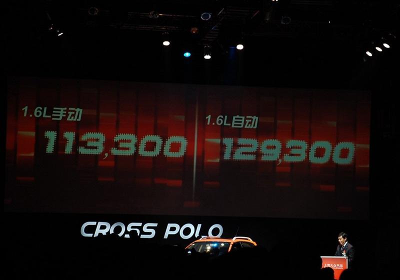 2007�� Cross Polo AT