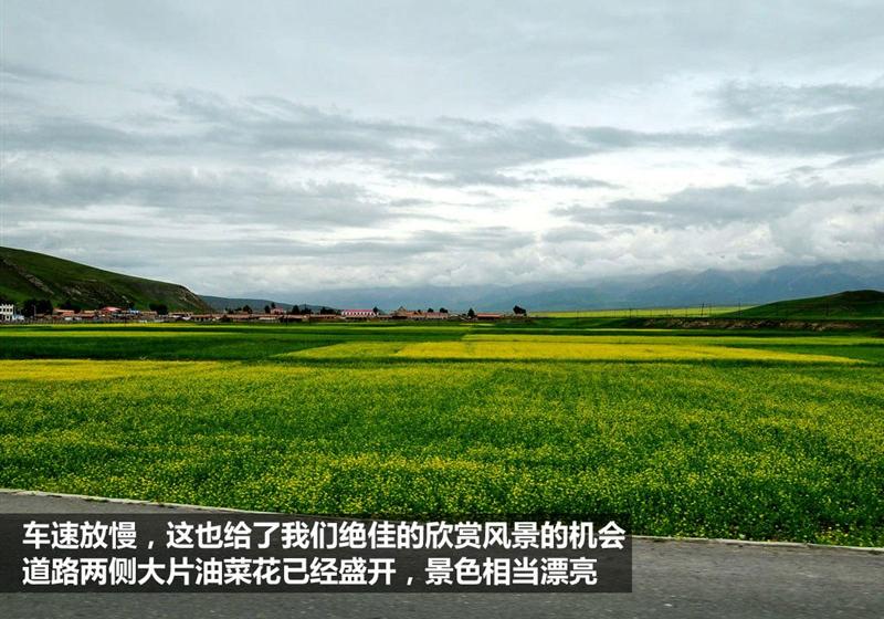 2009�� 1.8TSI AT���Ű�