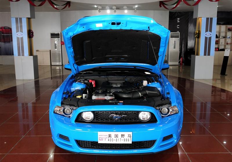 2013 5.0L GTԶ׼