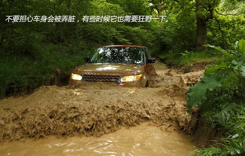 2014 5.0 V8 SC д Dynamic