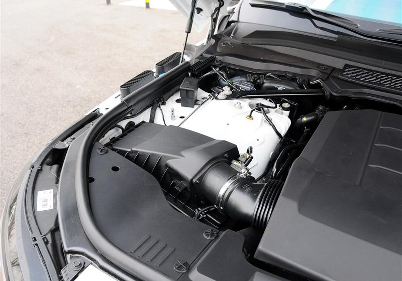 2014 5.0 V8 SC AB 紴ӳ