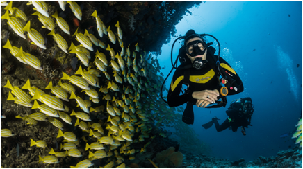 1557461033594703.png 1.png