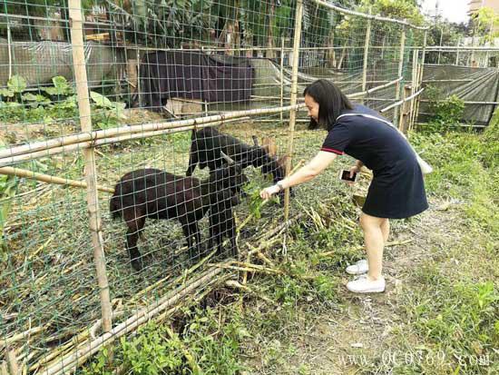 3111124150603940ac4719.jpg 28.jpg