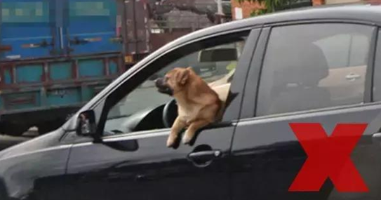 05113103057fcad7506962.png 05113103057fcad7506962.png