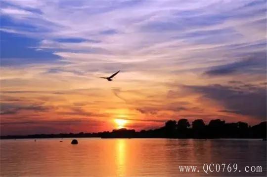 销量,疫情,汽车销量 销量,疫情,汽车销量