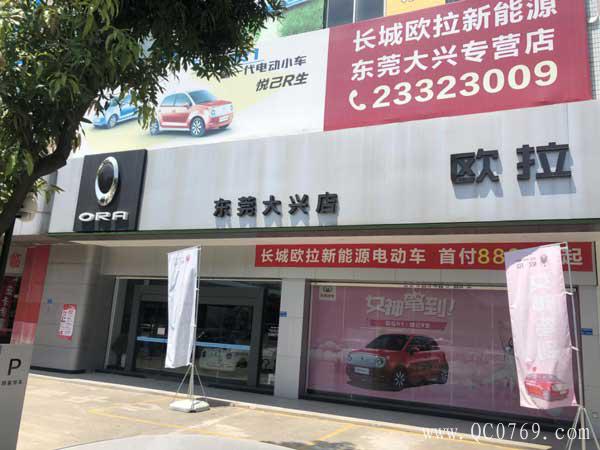 2815441989511a18886762.jpg 12.jpg