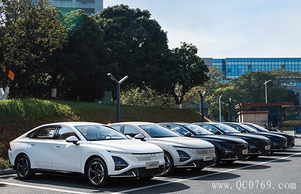 2815054169b9ff7aef7287.jpg 15.jpg