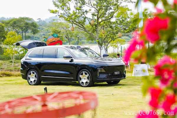 2616090595288676015353.jpg 11.jpg